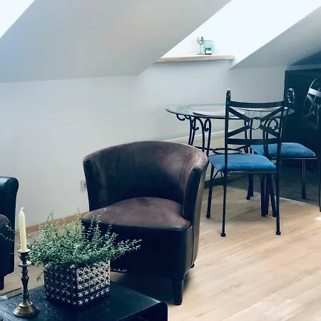 Attic Apartament In The Heart Of City *