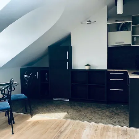 Attic Apartament In The Heart Of City شقة كلابيدا