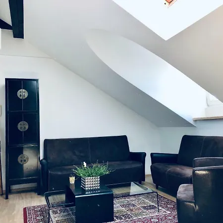 Attic Apartament In The Heart Of City شقة كلابيدا